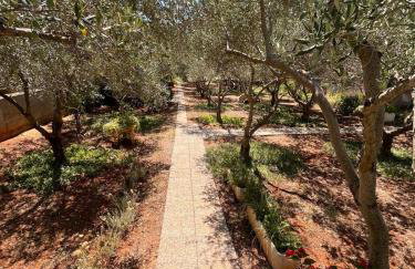 Olive Garden - Foto 32