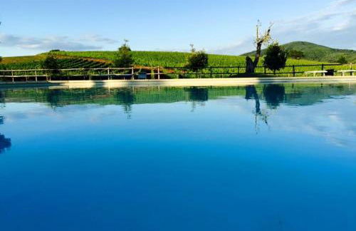 Il casale degli olivi - Foto 9