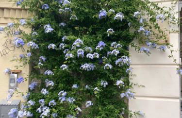 Studio Villa la Cigale avec grande Terrasse - Foto 29