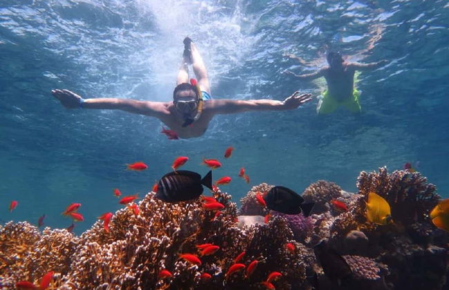 Orange Bay Snorkel Tour - Photo 5