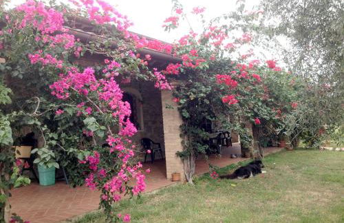 Casa Santina - Foto 1