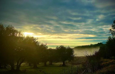 Il Cammino - Foto 38