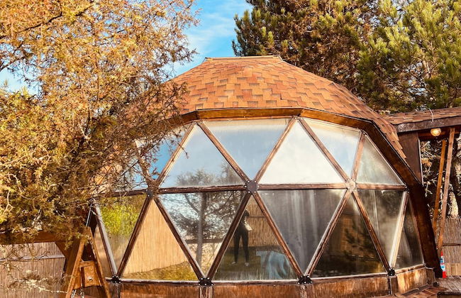 Lepista Garden - Foto 2