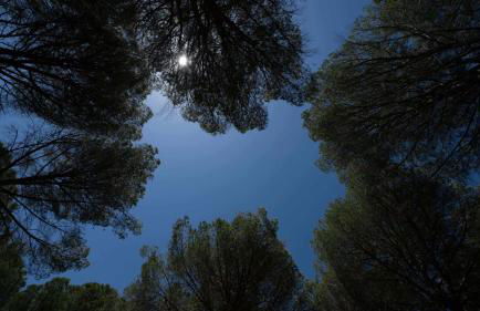 RaMi Rural Resort con piscina e vicino al mare - Foto 19