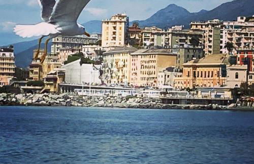 La Casa dei Sogni di Dory - Foto 49