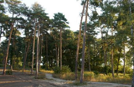Marina Maisonette Seeblick mit Pool und Sauna - Photo 58