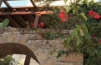 Traditional studio - Photo 11