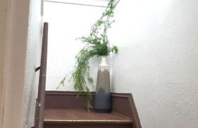 Ana Maria del Corona - Foto 23