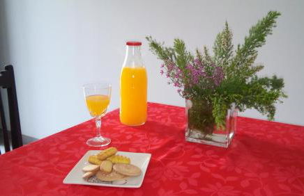 Casa do Rio - Penacova - Foto 43