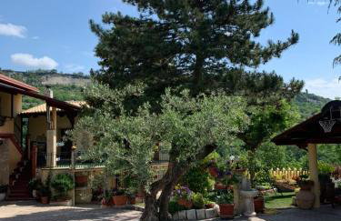 Le Ceppete - Foto 15