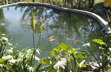 Pousada Chalé na Roça Penedo - Photo 31