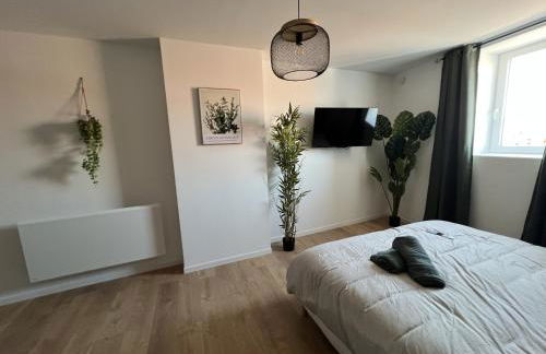 Le Jardin Botanique - Foto 2