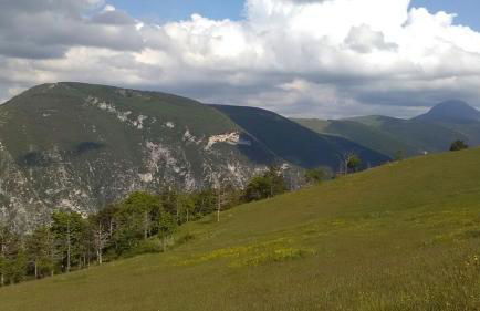 Oasi delle Gazze - Foto 41