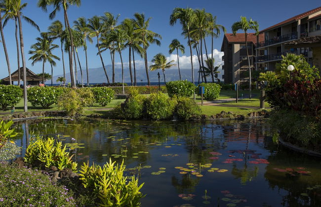 AEI at Papakea Resort Maui - Foto 20