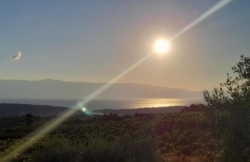 Hvar Architect's House - Photo 51