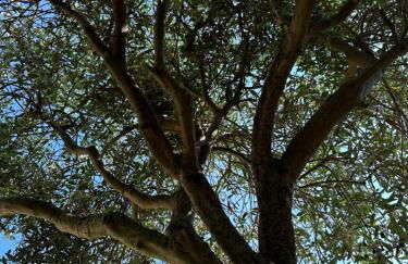 Villa Santatrada23 - Photo 35