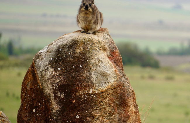 Kwetu Guest Farm - Photo 49