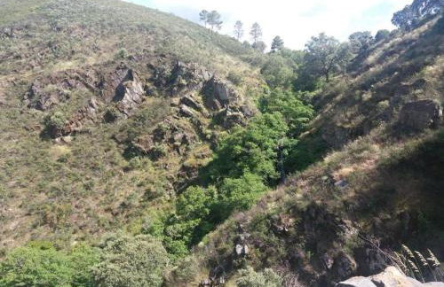 Casa Castelo de Alegrete by Portus Alacer - Foto 65