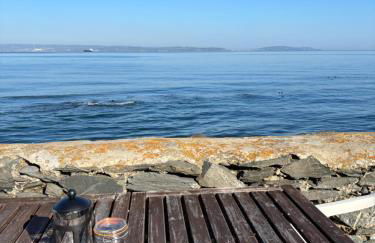 Splash Cottage beach house with Sea lapping Garden - Foto 24