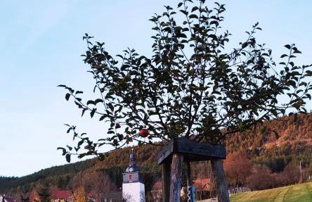 "Haus Ulla" - Foto 46