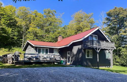 Alpine Chalet Grill, Fire pit, Pool, Gym, CornHole - Photo 1