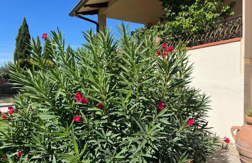 RelaxHomeHoliday - Foto 14