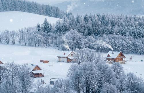 Bieszczady Żubrowe Wzgórze 785-049-543 - Foto 69