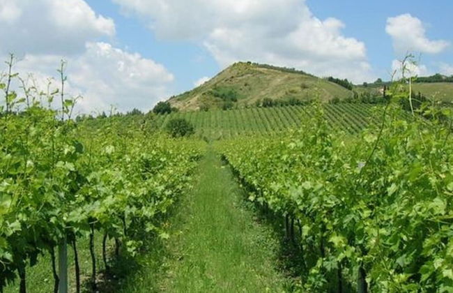 Spacious Home With Pool - Foto 39