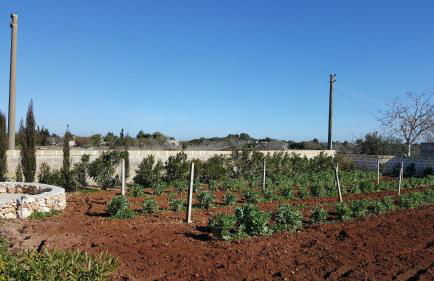 Villa Raffaella - Foto 42