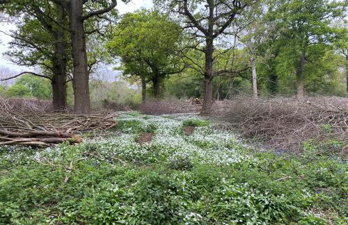 Monarchs View Farmstay - Foto 20