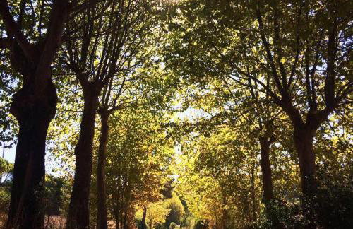 Casa Moinho do Oeste - West Windmill Portugal - Foto 20