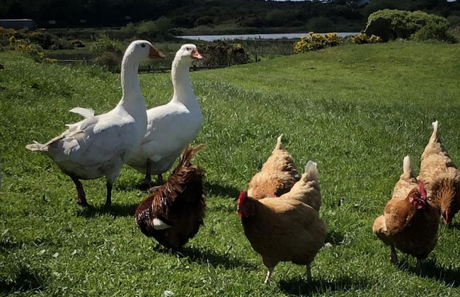 Captivating 2-bed Static Caravan on Private Land - Photo 15