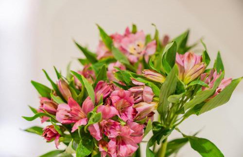 Rockliffe House By Horizon Stays - Foto 45