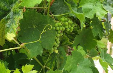 Studio Fontaine d’amour - Foto 10