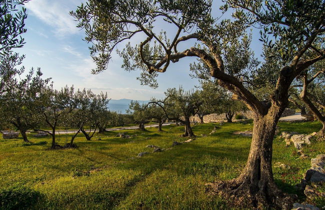 Villa Roza - Foto 35