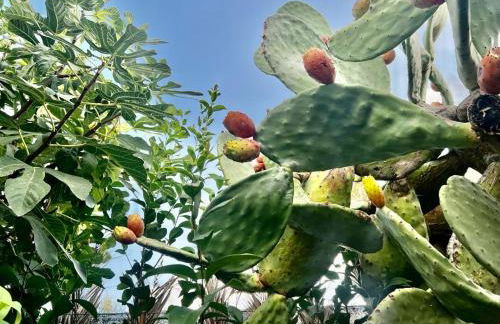 Olive Sense Villa with jacuzzi and sauna - Foto 26