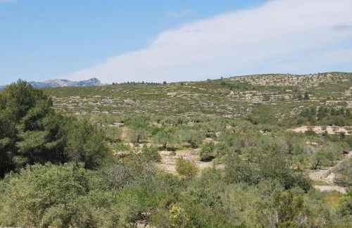 Apartamento Tramuntana - Foto 5