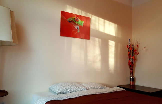 Orange Studio - Photo 7