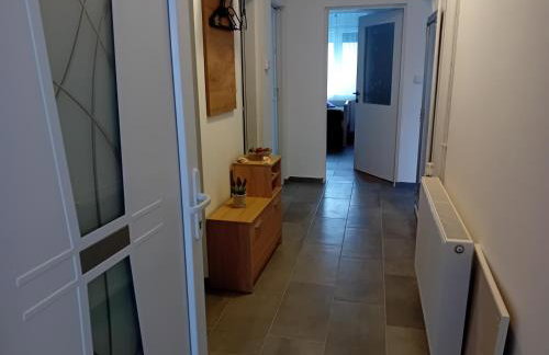 Apartmani Ani - Foto 57