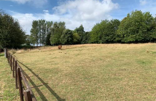 Static Mobile home set in our 20 acres of farmland - Foto 10