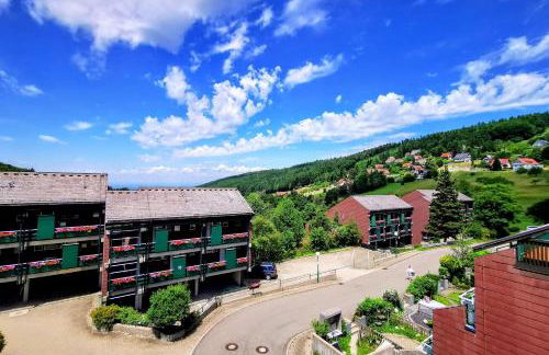 Black Forest Stay - Apartment Hirschperle - Foto 45