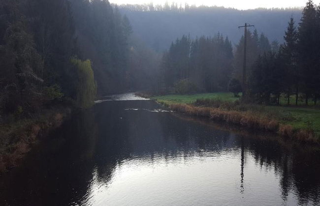 Holiday Home in La Roche With Sauna & Nature - Photo 44