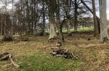 Appin Apartment - Foto 22