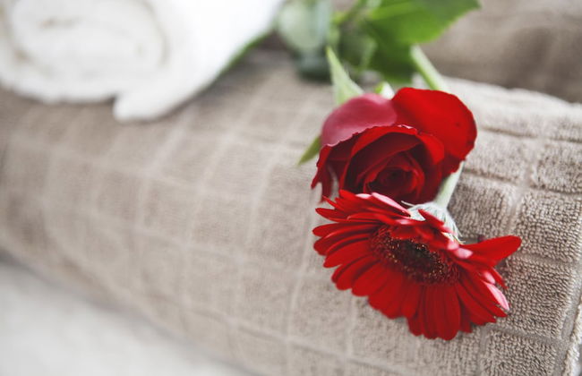 Alessia's Flat - Tortona - Photo 50