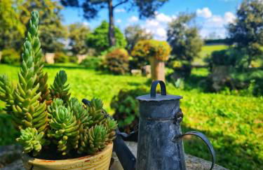 AgriBio Villa Ribes - Photo 34