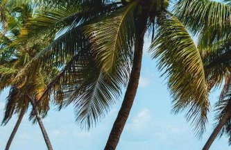 Villa Naluri - Casa Yodo - Apartamento 1 quarto em Japaratinga - Foto 73