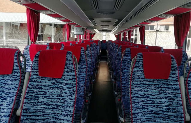 Shore Excursion to Pisa - Foto 3