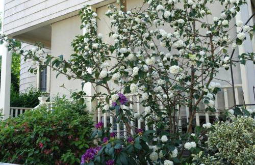 Historic Harvard & MIT Victorian - Foto 25