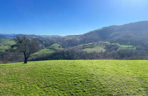 Caserío Bizkar - Foto 33