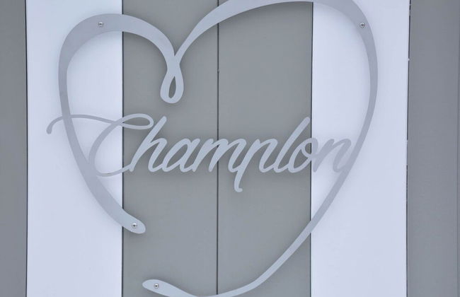 Champlon Villa Near Forest - Photo 30